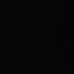 Meet your Posher, Chase